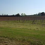 Garda - Castelnuovo del Garda